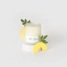 Load image into Gallery viewer, FLAMBETTE Pineapple Cilantro Soy Candle
